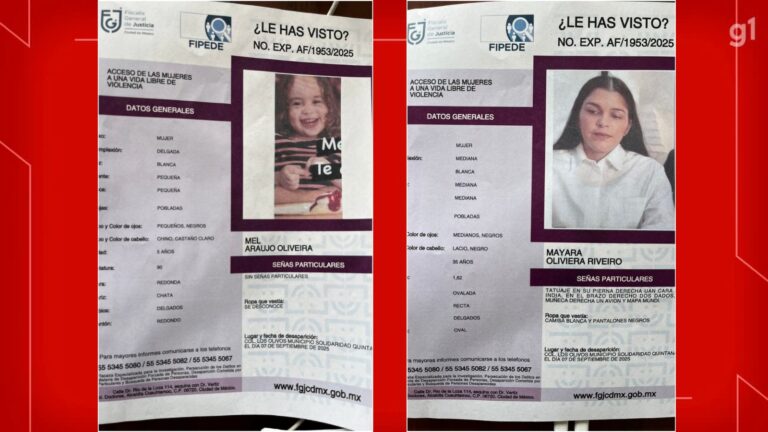 Batalha judicial de pai brasileiro por guarda da filha no México