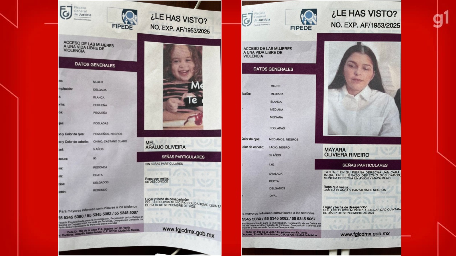 Batalha judicial de pai brasileiro por guarda da filha no México