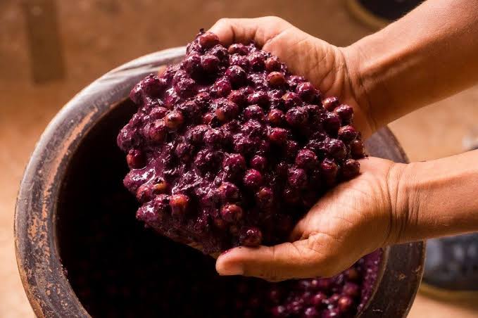 Maracanã se Prepara para a Maior Festa da Juçara de Todos os Tempos: Tradição e Inovação se Encontram