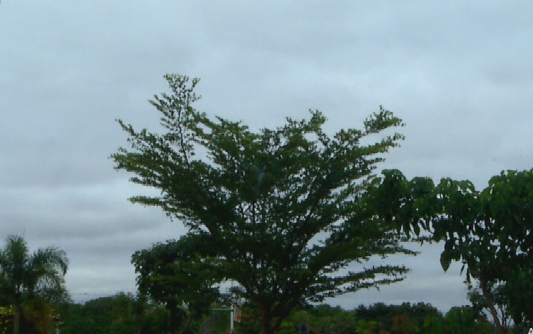 Frio pela manhã e alerta de tempestade em Goiás