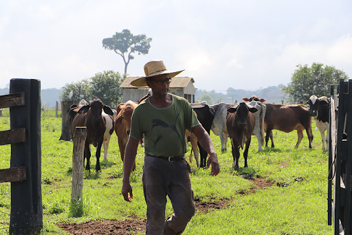 Porteira Adentro: Produtores Rurais de Porto Velho Precisarão Pagar Antecipadamente por Serviços