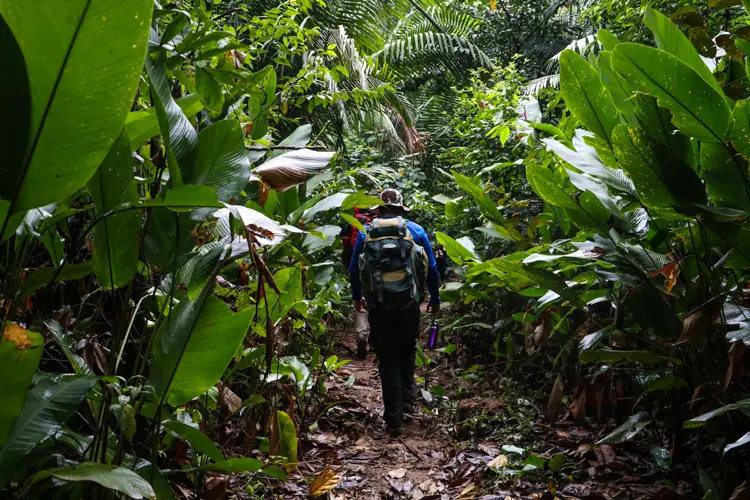 Acre convida guias e operadores de turismo para Famtour exclusiva na Trilha Chico Mendes