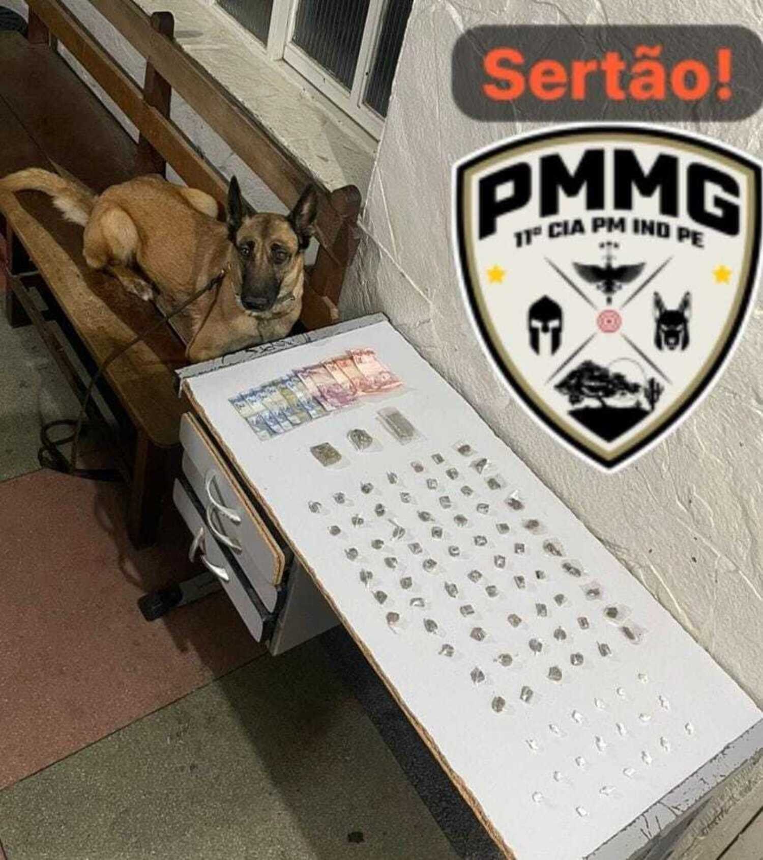 Polícia apreende drogas em galinheiro e buraco de tijolo em Montes Claros