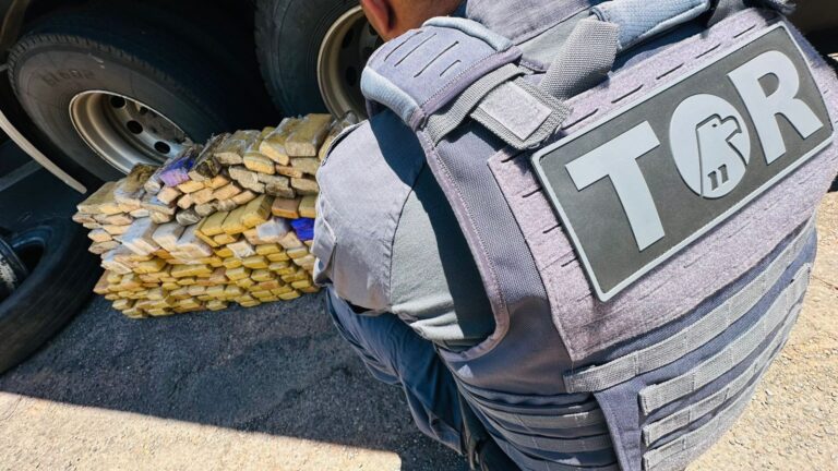 Motorista é preso com 181 kg de maconha em Presidente Prudente