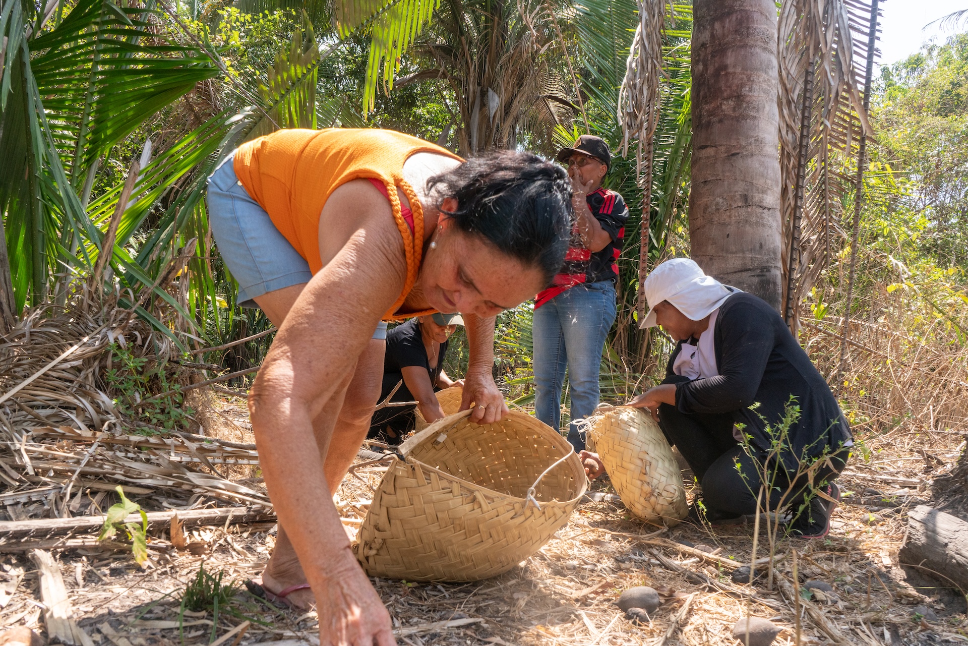 Quilombelas do Maranhão Levam a Força do Babaçu e a Sabedoria Ancestral à COP30