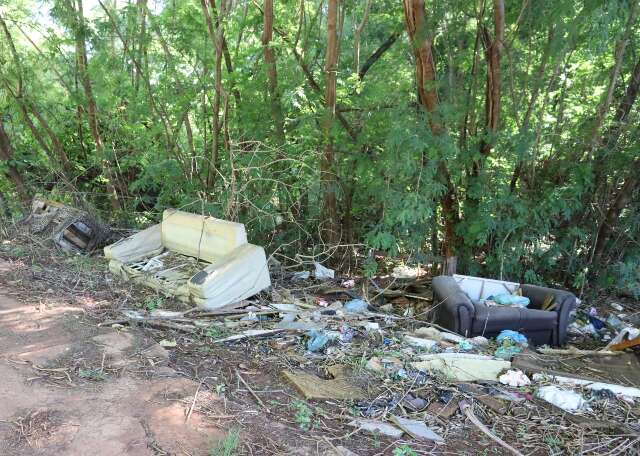 Paraíso Perdido: Lixo Sufoca Córrego e Afasta a Fauna do Recanto dos Pássaros