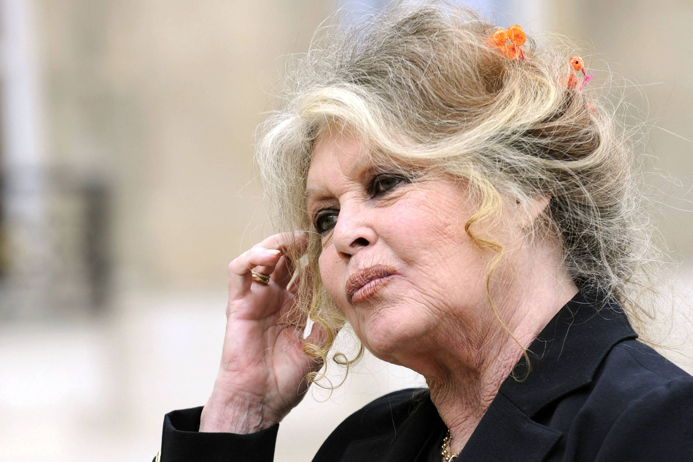 Brigitte Bardot é internada novamente na França após cirurgia