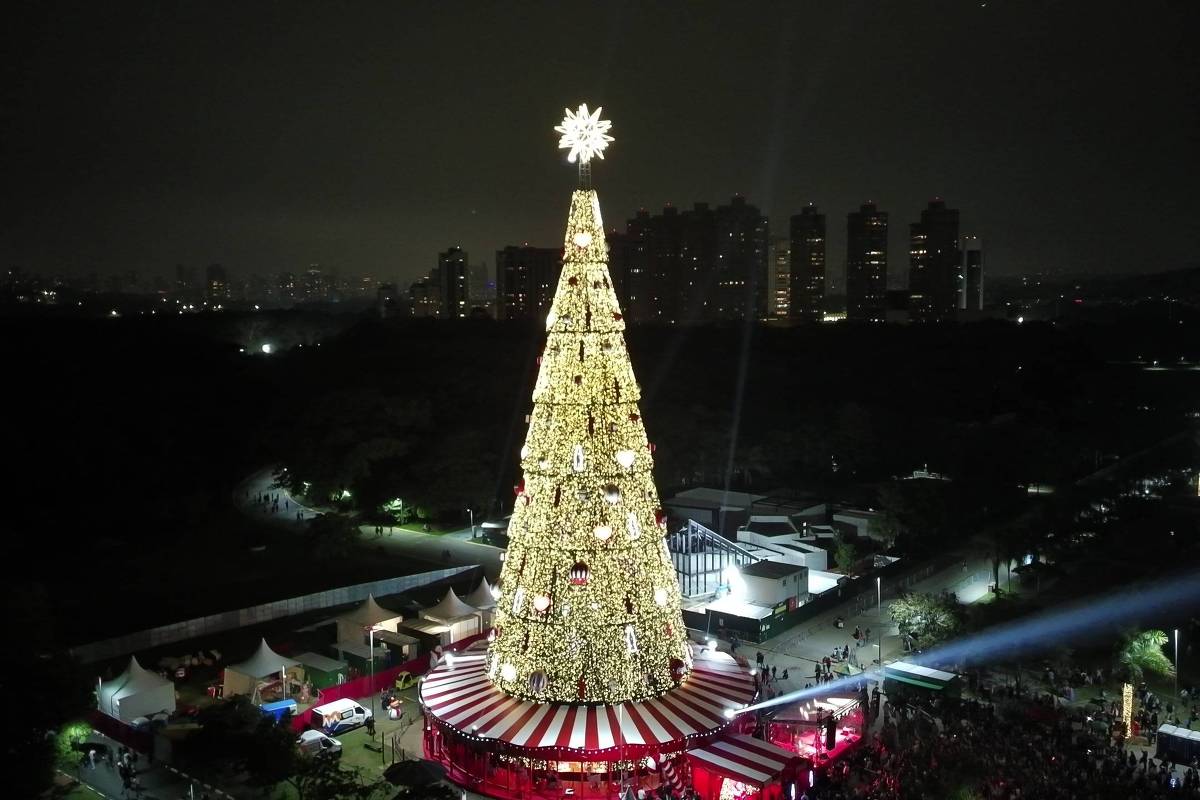 Árvore de Natal de 55 metros é inaugurada no Parque Villa-Lobos, em SP