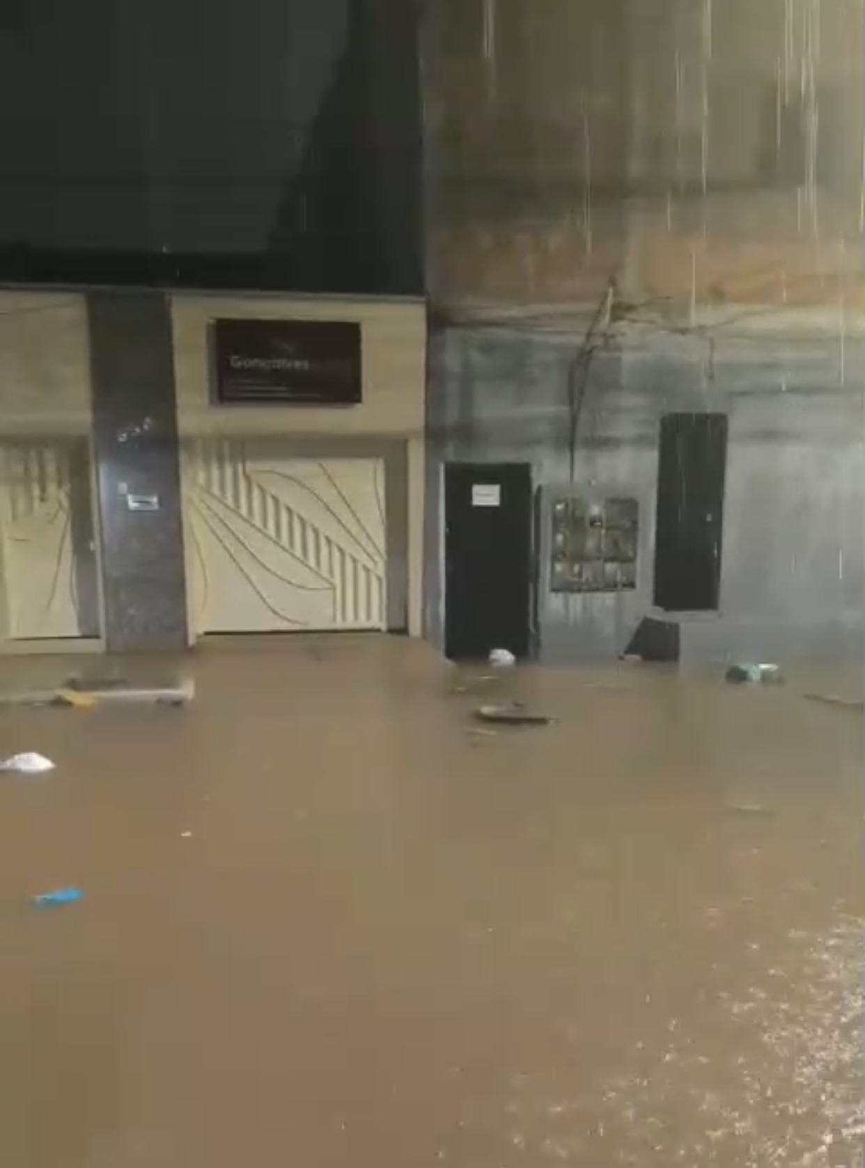 Temporal Devasta Imperatriz: Faculdade Destruída, Ruas Alagadas e Jacaré Surpreende Moradores