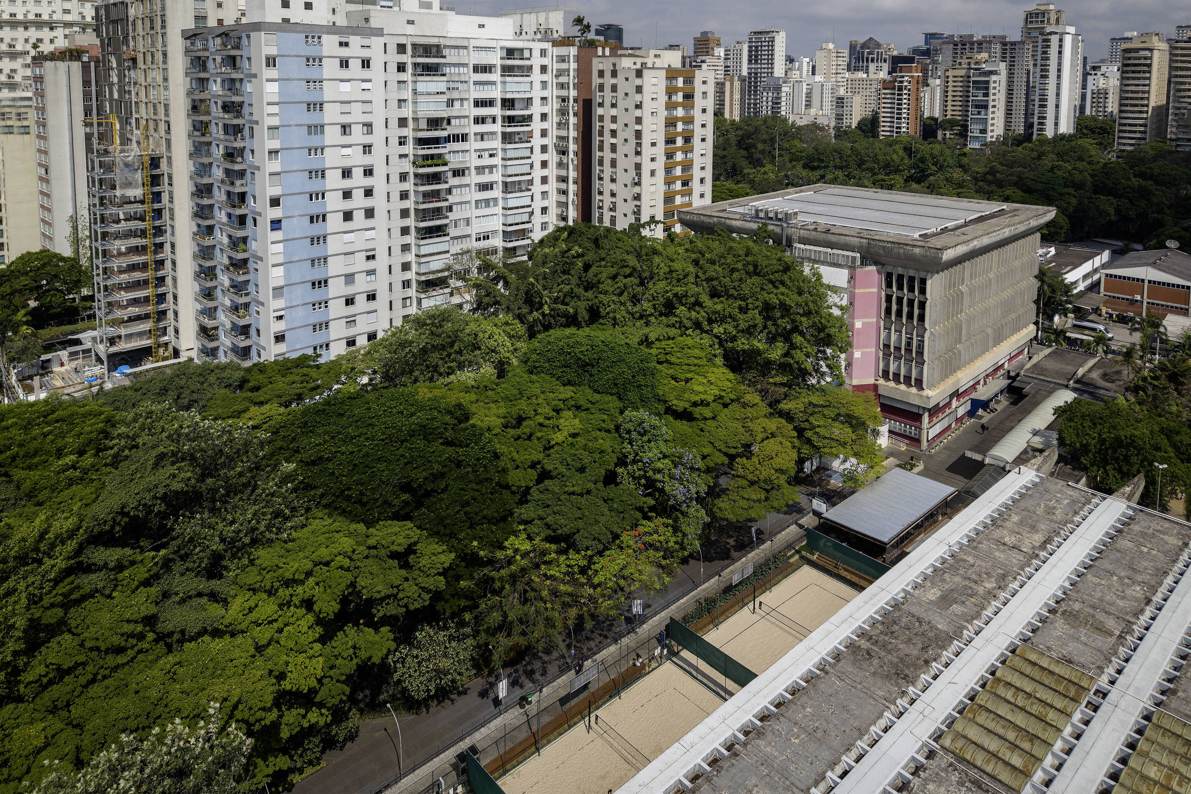 Protestos em São Paulo contra corte de árvores na Hebraica