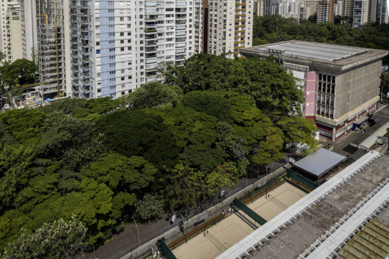 Suspensão do corte de árvores no clube Hebraica gera reavaliação pela gestão Nunes