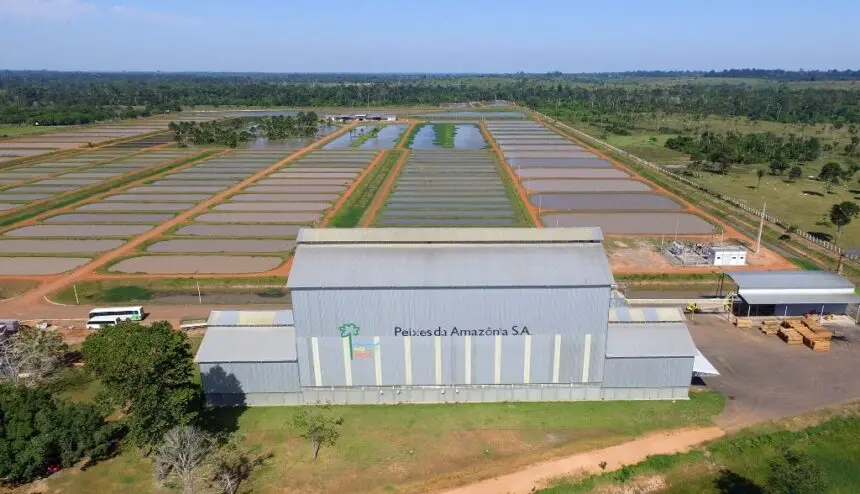 Leilão acirrado: Complexo da Peixes da Amazônia é arrematado por R$ 13 milhões após disputa intensa