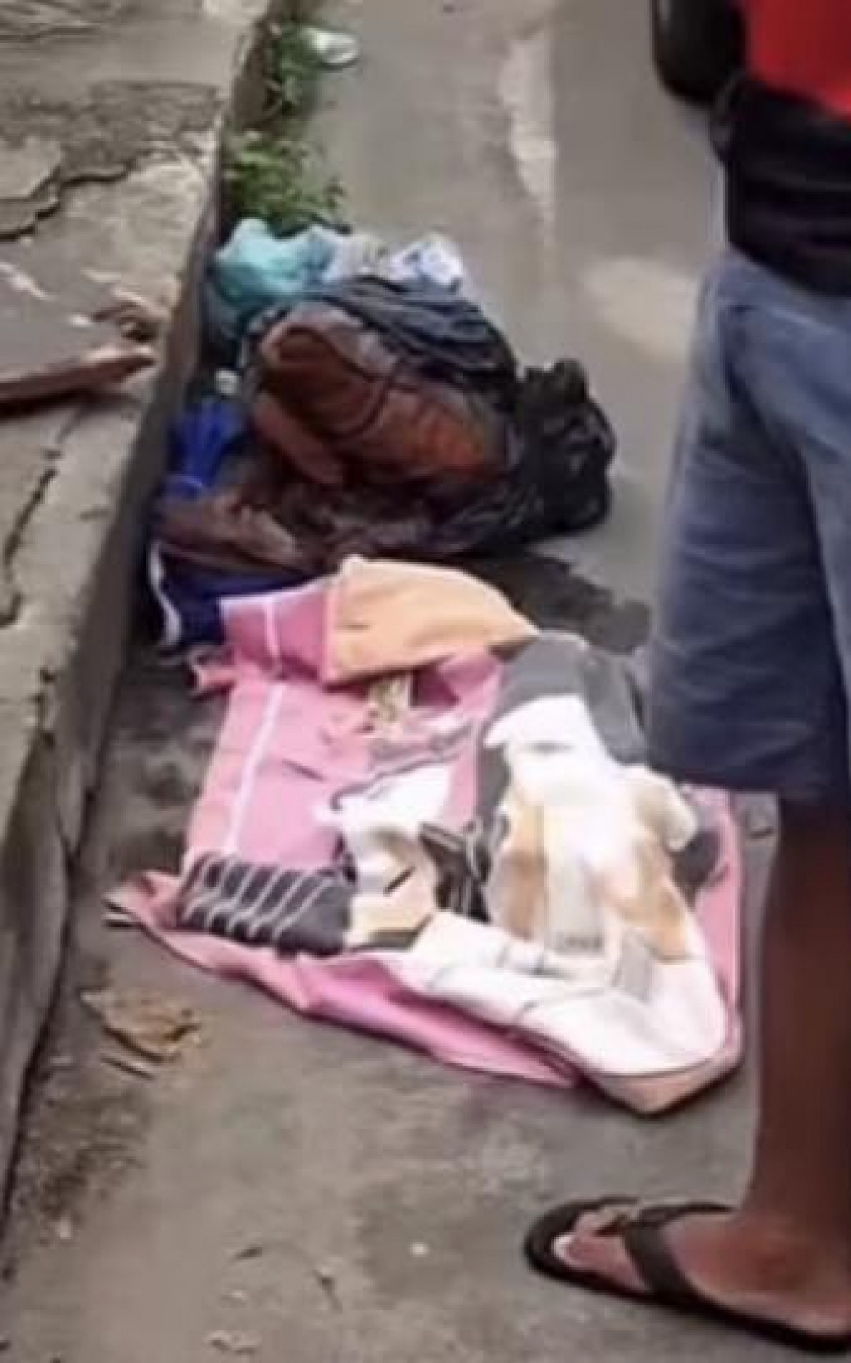 Horror em São João de Meriti: Recém-nascida é encontrada morta em saco de lixo