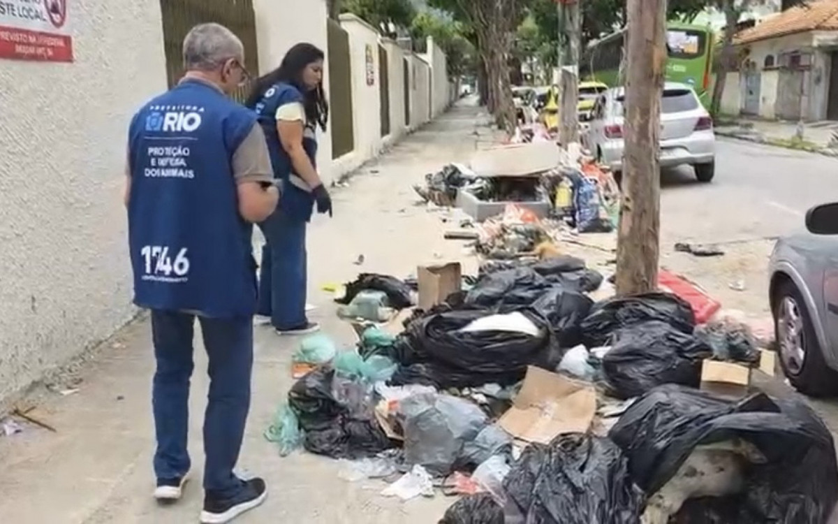Crueldade no Rio: Animais Mutilados e Abandonados Chocam Moradores do Engenho de Dentro
