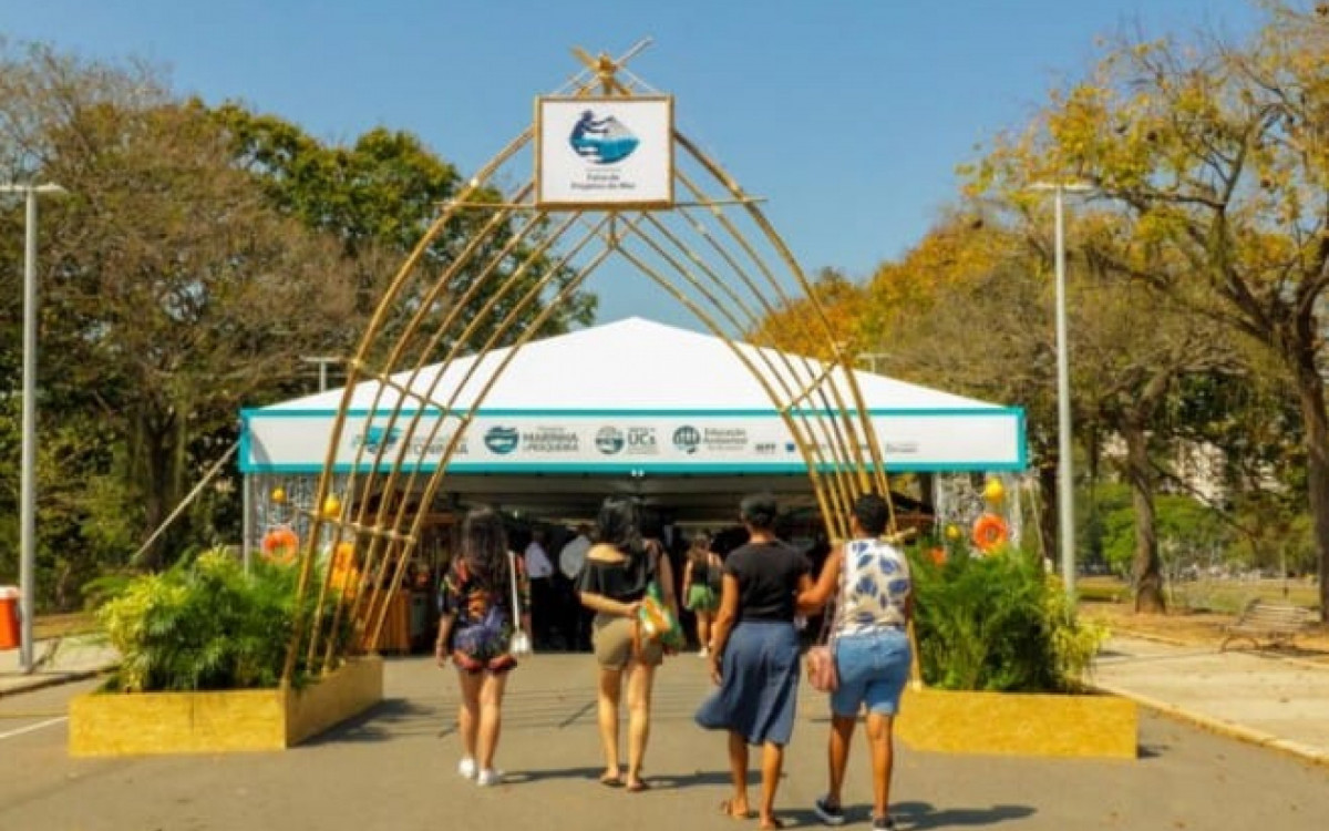 Festival da Pesca em Paraty Celebra Cultura Caiçara e Impulsiona Economia Local Sustentável