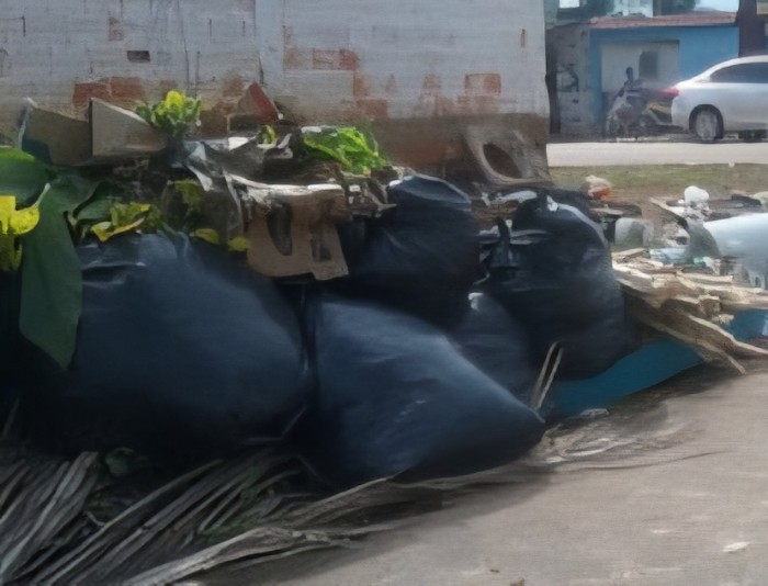 Coleta de Lixo em Porto Velho: Moradores do Três Marias e Socialista Exigem Regularidade, Eco PVH Responde