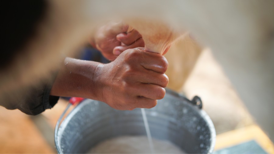 Rondônia Traça Estratégia para Impulsionar Setor Leiteiro: Apron e Faperon Lideram Discussões