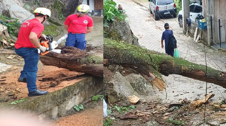 Árvore Cai Sobre Casa e Rede Elétrica em São José, Deixando Moradores Sem Luz