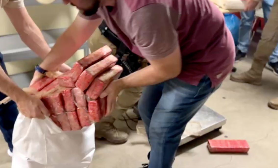 Palhoça: Ação Integrada da FICCO/SC Apreende Meia Tonelada de Maconha e Prende Suspeito