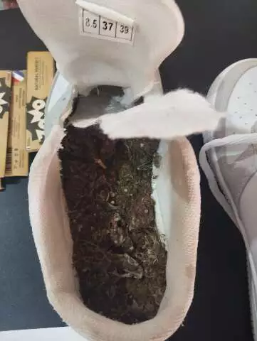 Visita frustrada: Mulher é presa ao tentar burlar segurança de presídio em Campo Grande com droga no tênis