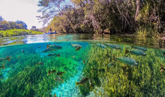 Bonito Implementa Taxa Ambiental de R$15 para Turistas a Partir do Próximo Mês