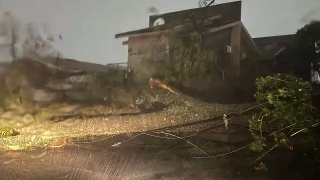 Moradores Alertaram, Prefeitura Ignorou: Árvore Causa Destruição na Chácara Cachoeira após Queda