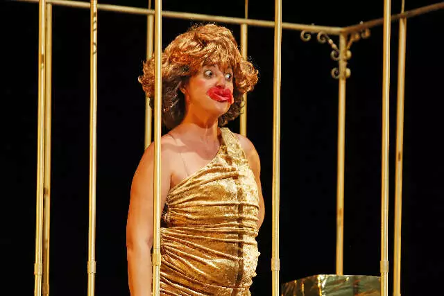 Pantanal Vira Palco do Riso: Mostra de Palhaços Gratuita Agita Campo Grande em Dezembro