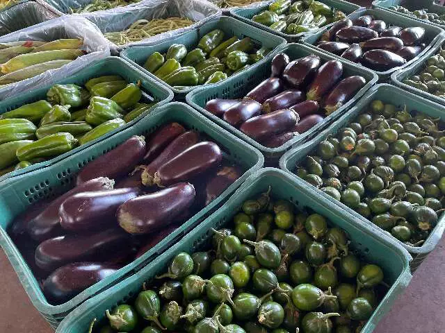 Balança da Ceasa/MS: Berinjela em Queda Livre e Morango Dispara em Meio a Variações Sazonais