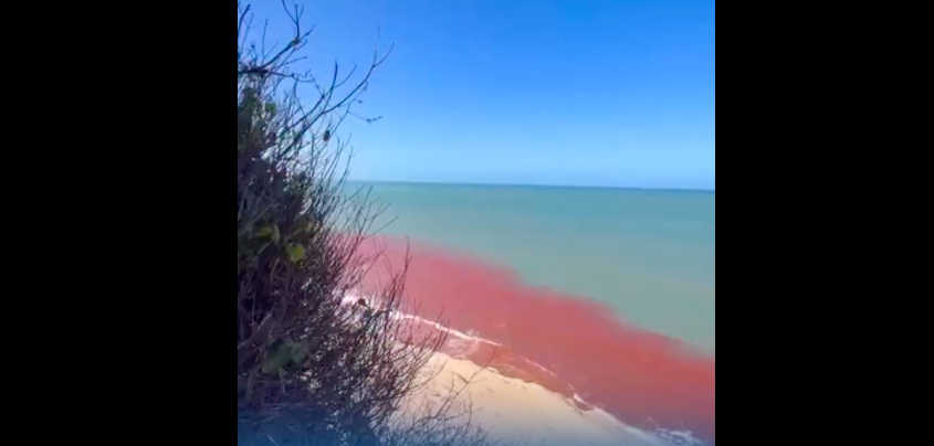 Mar Vermelho Intriga Pipa: Fenômeno Aquático Alerta Moradores e Aciona Investigação