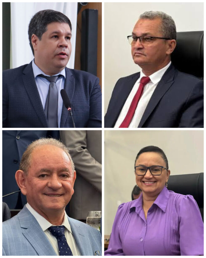 Fraude na cota de gênero pode remodelar a Câmara de Palmas; entenda as mudanças