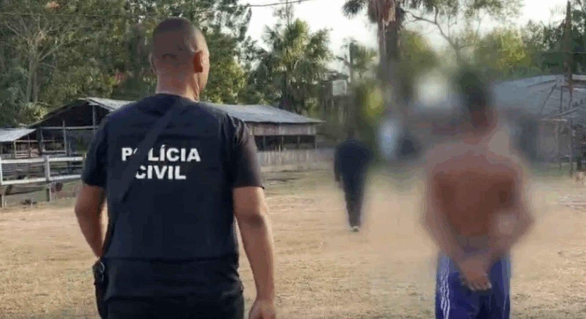 Amapá: Operação contra furto de búfalos apreende armas e mira empresários