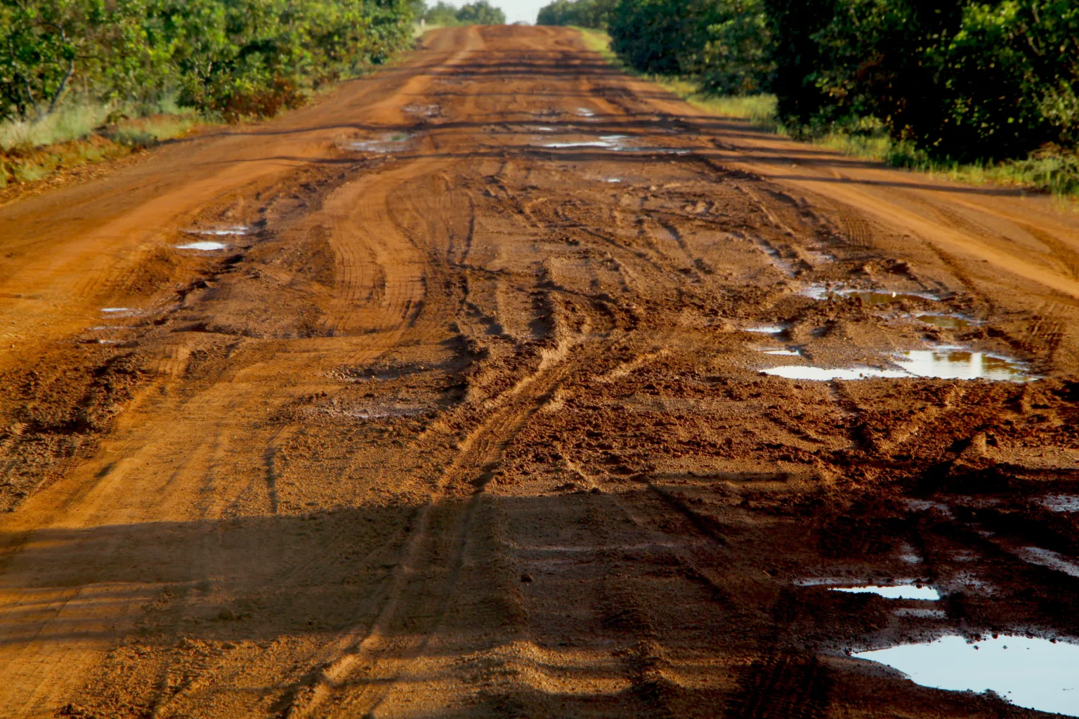 BR-401: Emenda de R$ 40 Milhões Impulsiona Asfalto e Desenvolvimento em Normandia
