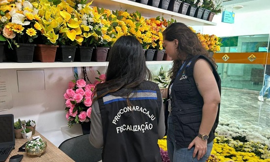 Preços para o Dia de Finados em Aracaju variam: coroas até R$380 e jazigos alcançam R$28 mil