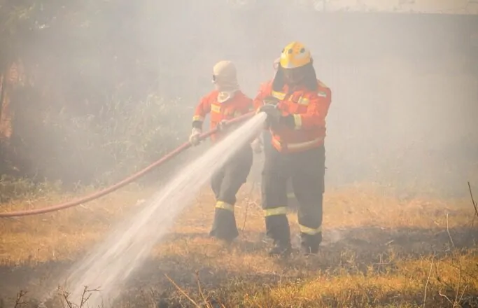 Bombeiros em Ação: Quatro Incêndios em Vegetação Atingem a Grande Natal