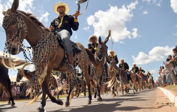 Cavalgadas em Palmas Sob Investigação por Suspeita de Maus-Tratos a Animais