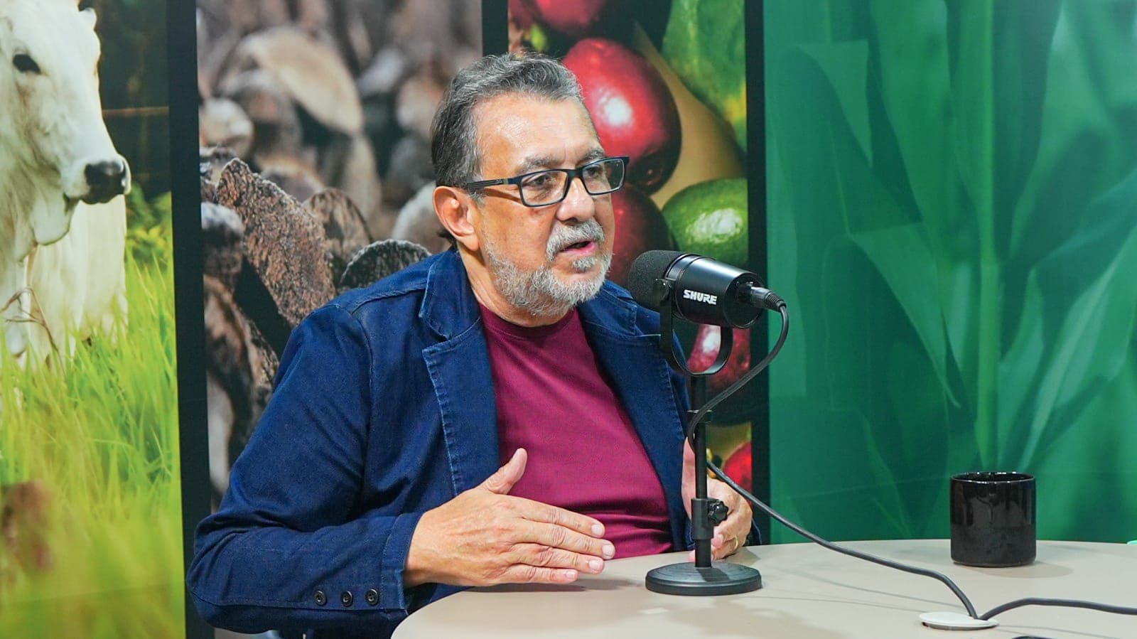 Especialista Contesta Incentivo à Indústria de Castanha Boliviana no Acre: ‘Erro Estratégico’