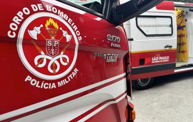 CBMDF Abre Cadastro para Famílias Socializadoras e Fortalece Projeto de Cães de Assistência