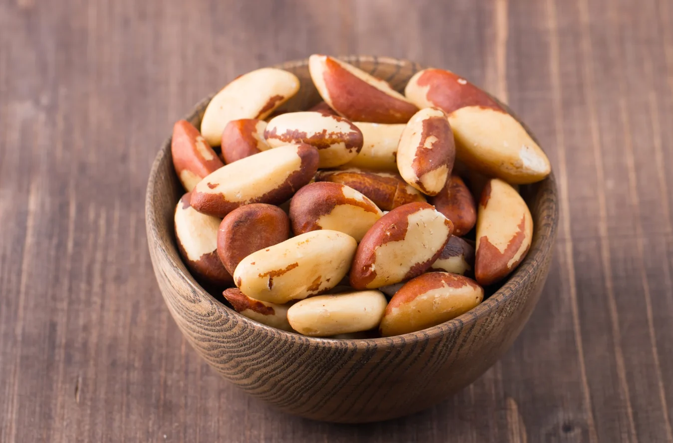 Poder do Norte: Castanha-do-Pará e Sementes Amazônicas Revelam Segredos para um Coração Saudável