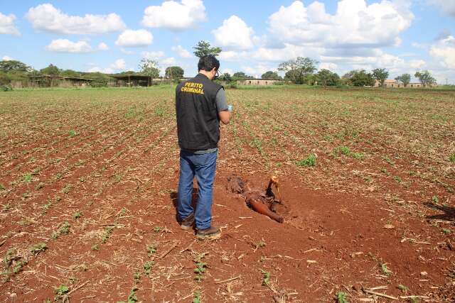 Homem é Morto a Machadadas e Enterrado em Cova Rasa em Ponta Porã; Autor Confessa Crime