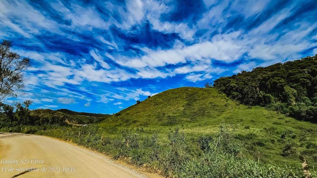 Reflexões sobre Política, Educação e a Busca pela Felicidade: Uma Crônica de Afonso R.R.