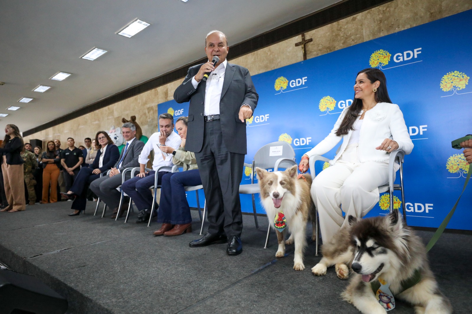 GDF Lança Programa Inédito de Apoio a Protetores de Animais com Cartões Ração e Castração