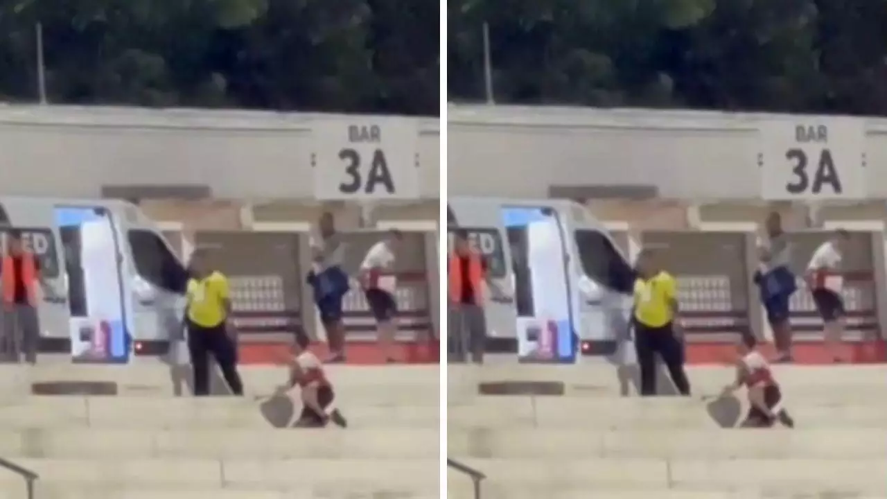 Luto no Santa Cruz: Torcedor do Botafogo-SP Morre Após Partida Contra o Amazonas