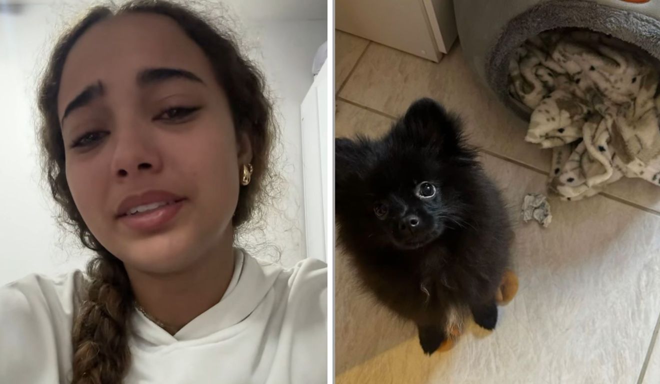 Tragédia em Vila Velha: Incêndio Consome Apartamento e Tira a Vida de Filhote de Influenciadora