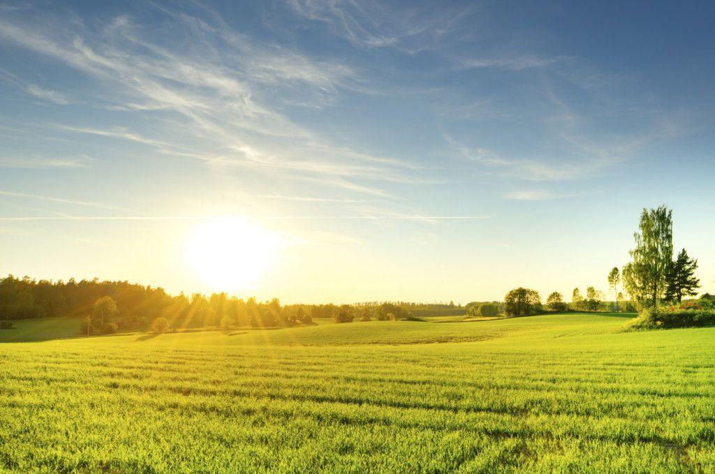 Entre o Inverno e o Verão da Vida: Navegando as Mudanças que Nos Transformam