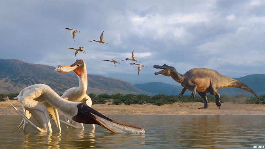 Fóssil de vômito de dinossauro revela nova espécie de réptil voador