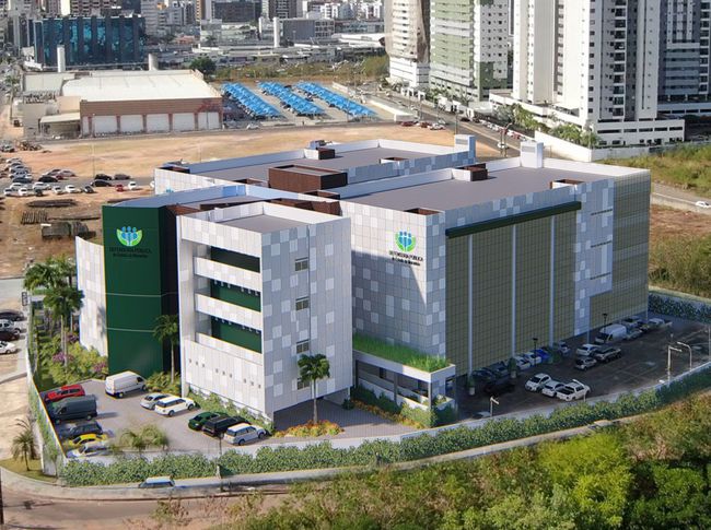 DPE-MA Celebra a Consciência Negra com Festival Cultural em São Luís