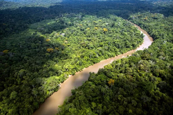 União Europeia Desembolsa €20 Milhões para o Fundo Amazônia em Cerimônia na COP30