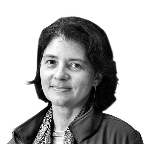 Neurocientista Suzana Herculano-Houzel destaca jogo Pips e suas lições para o cérebro
