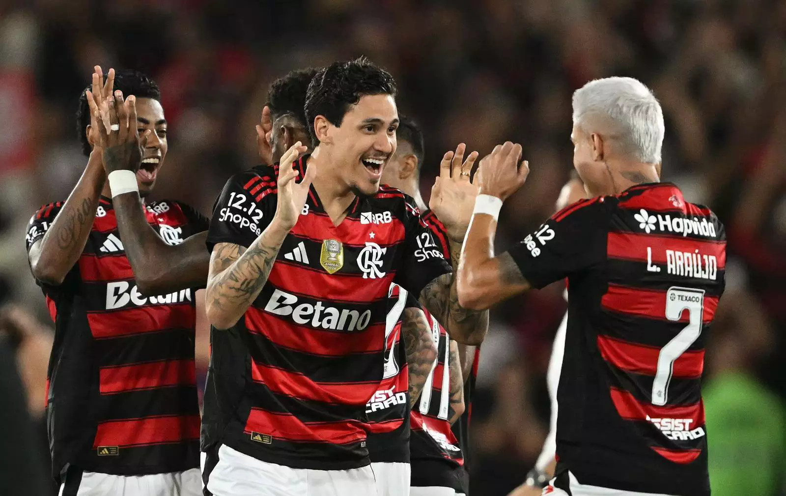 Bi-Campeão Absoluto: Flamengo Coroa Ano Mágico com Título Brasileiro