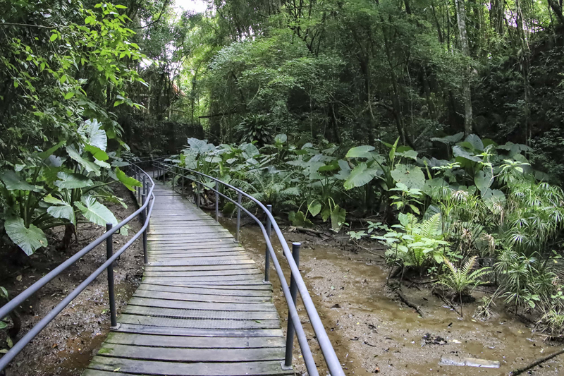 Escola municipal de sustentabilidade amplia programação com trilha e paredão de pedra